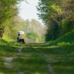 free-photo-of-woman-on-bench-with-sunshade